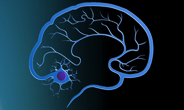 Construction HTML Template