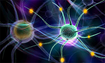 Construction HTML Template