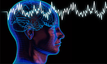 Construction HTML Template