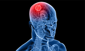 Construction HTML Template